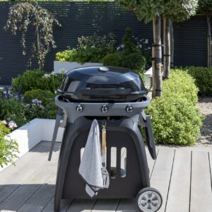 Norfolk Grills N-GRILL Gas Grill 3 Burner