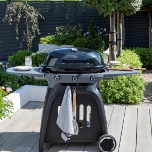 Norfolk Grills N-GRILL Gas Grill 3 Burner