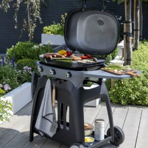 Norfolk Grills N-GRILL Gas Grill 3 Burner