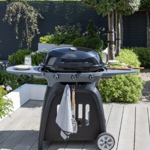 Norfolk Grills N-GRILL Gas Grill 3 Burner