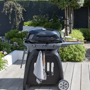 Norfolk Grills N-GRILL Gas Grill 3 Burner